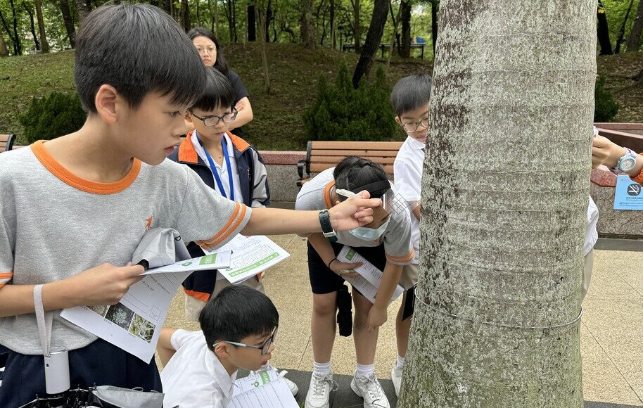四年級常識科學習活動 - 柴灣地衣考察活動