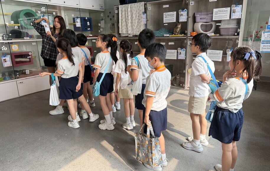 二年級常識科學習活動 - 參觀香港愛護動物協會總部