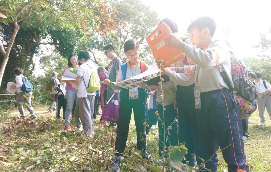 P6 Nature Activity