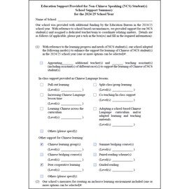 2024-2025 為非華語學生提供的教育支援 - 學校支援摘要 (英文版本)