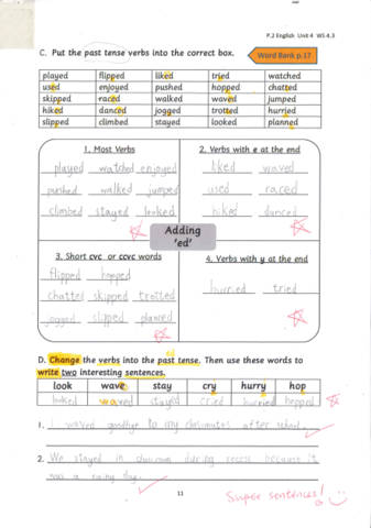 primary2