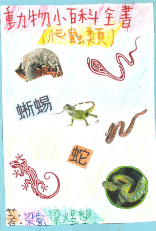 primary2