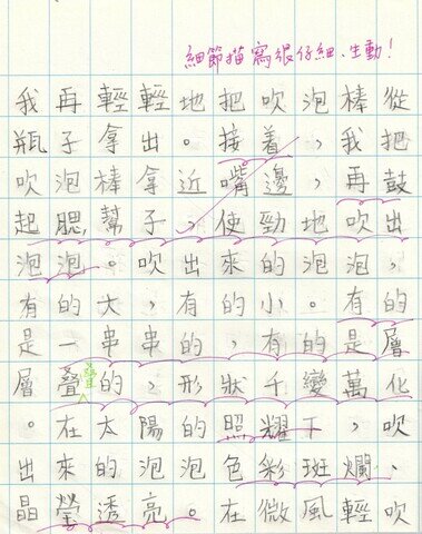 primary2