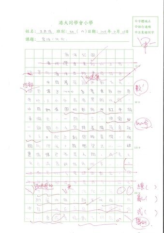 primary5
