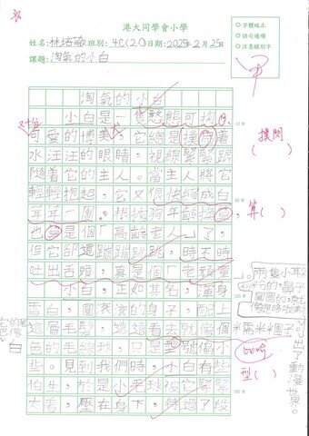 primary4