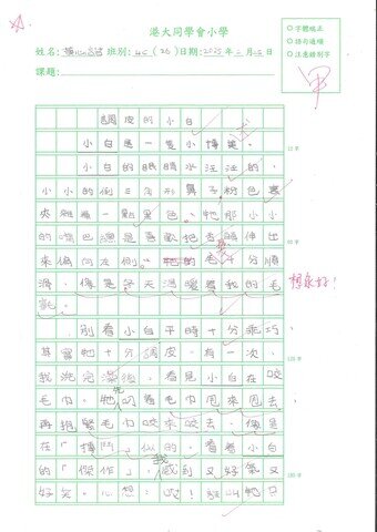 primary4