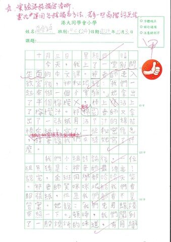 primary4