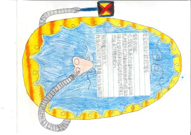 primary2