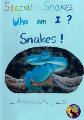 primary2