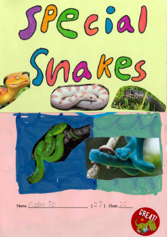 primary2