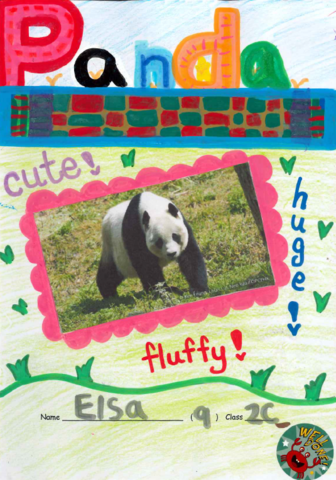 primary2