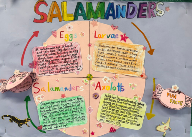 primary3